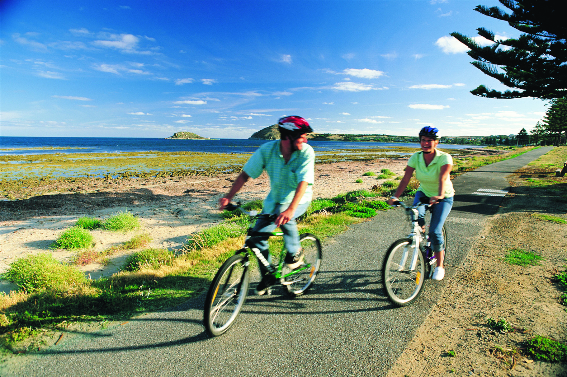 Bikes